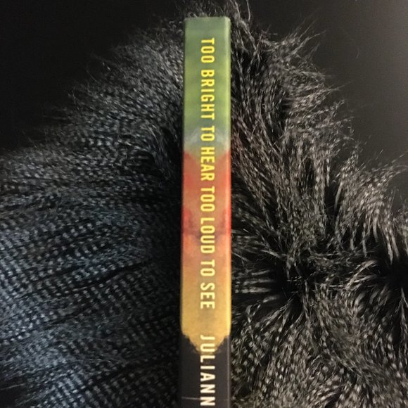 'Too Bright To Hear, Too Loud To See' Novel By Juliann Garey - Picture 4 of 4